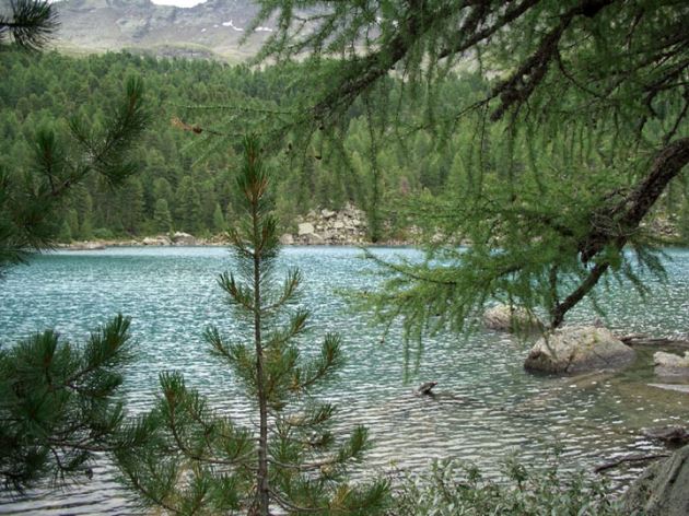 2-Val da Camp, Lagh Saoseo.jpg