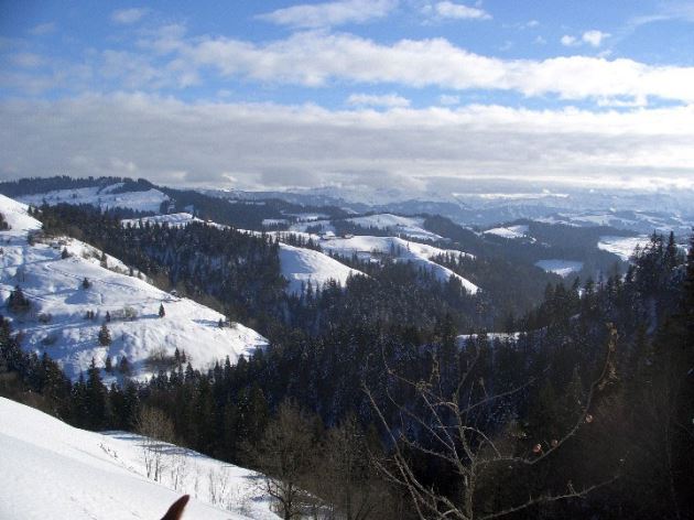 7-Emmental 1-1-05.JPG