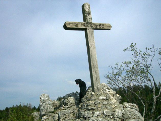 qCIMG5509.jpg
